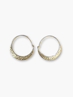 Crescent Hoop Earrings