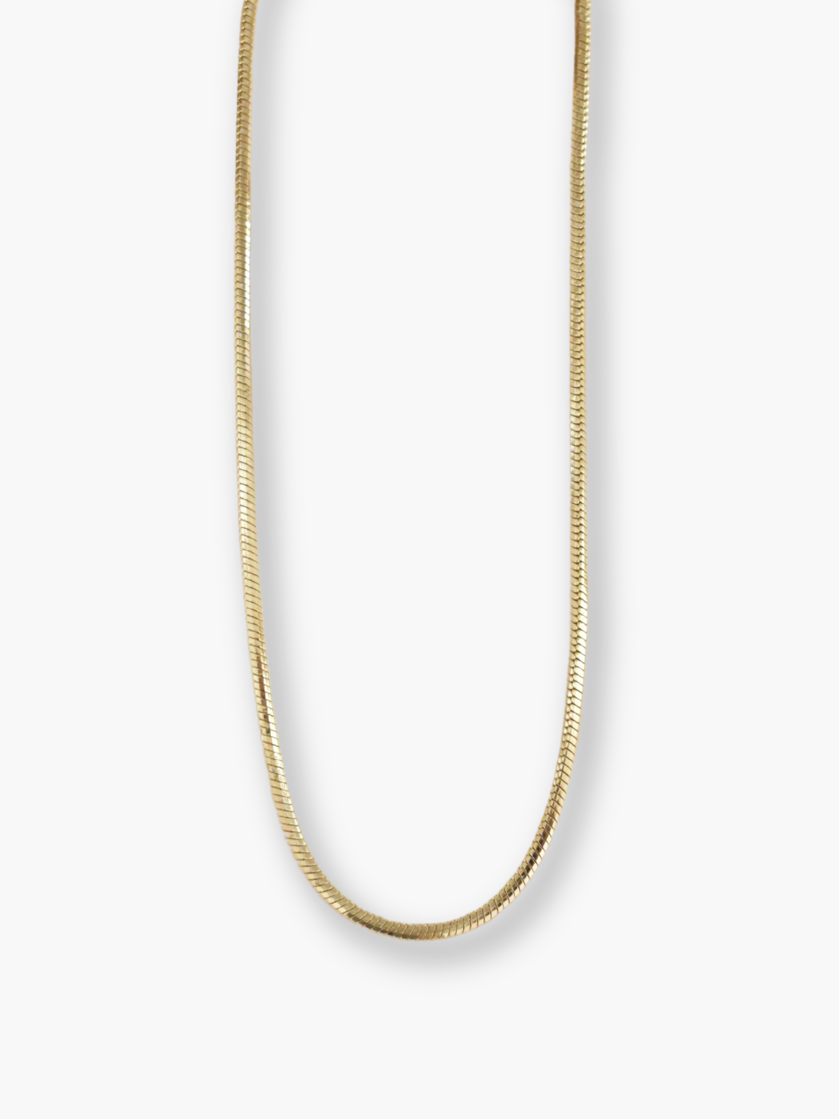 Snake Chain Necklace