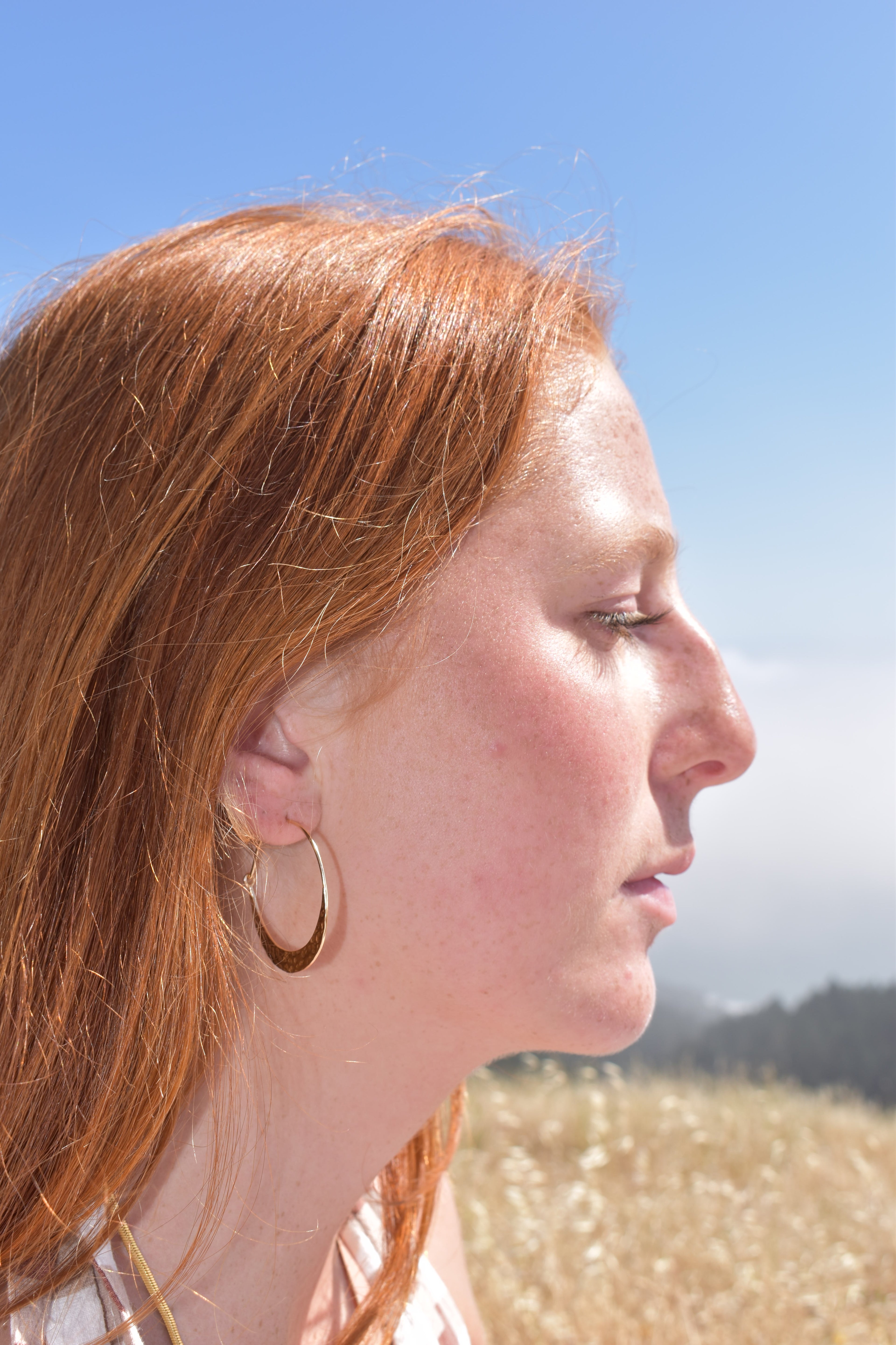 Crescent Hoop Earrings